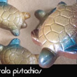 Spicy Turtles