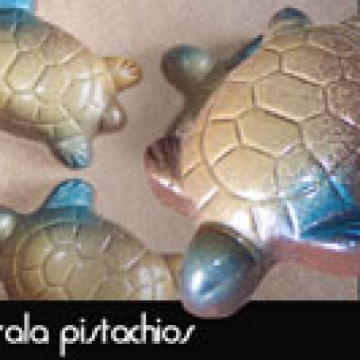 Spicy Turtles
