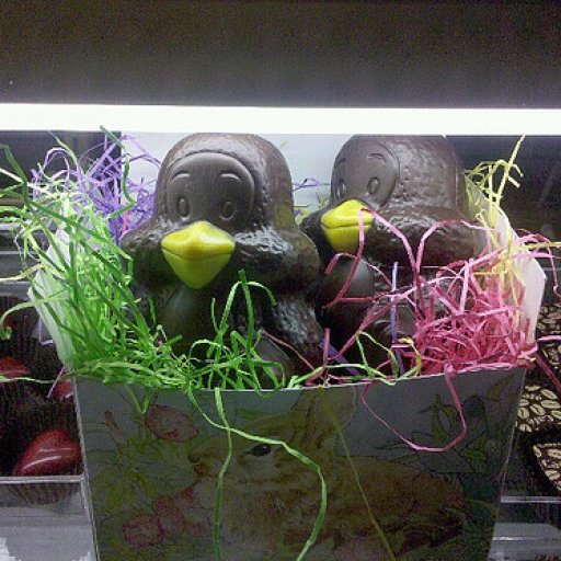 Oh forgot a sneak peak of the chickies.
