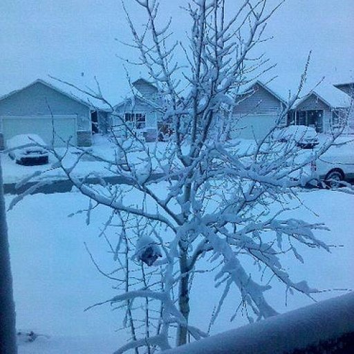 Had to dug the car from under the snow then dug my way out of the driveway, nothing like an early morning workout!