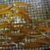 Candied Orange Peels