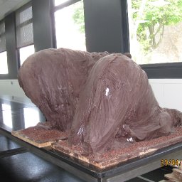 Patrick Roger - his passion for chocolates