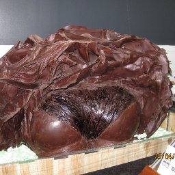 Patrick Roger - his passion for chocolates