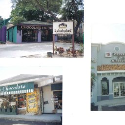 Tampa, FL choc shops