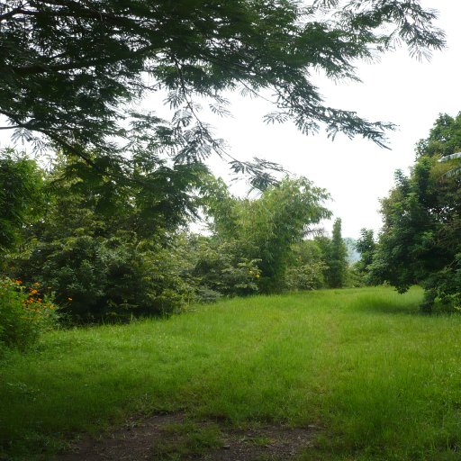 Parking Area