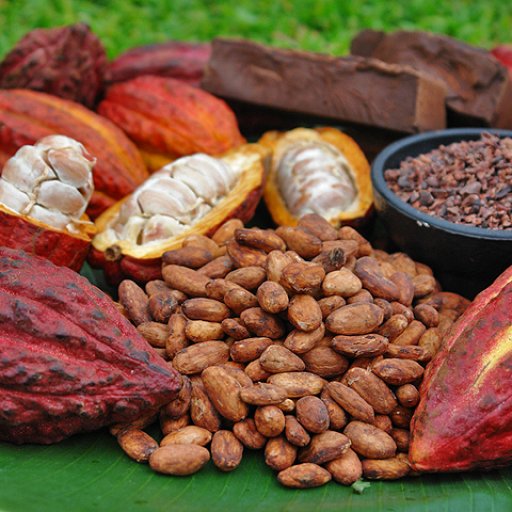 cacao to chocolate