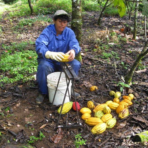 Harvesting