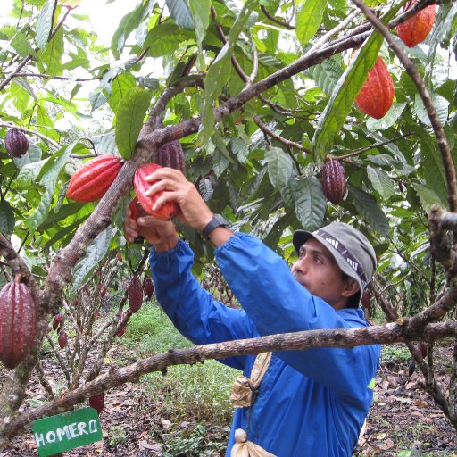 Harvesting