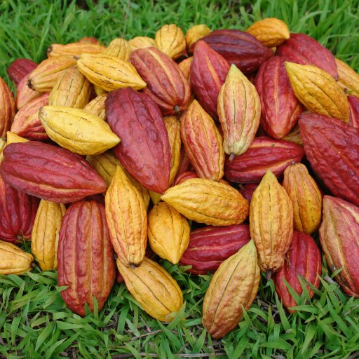 mixed harvest