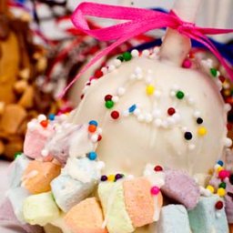 Chocolate or Peanut butter covered cake poppers