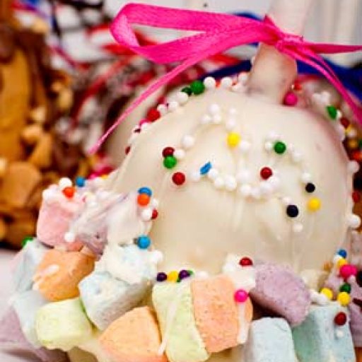 Chocolate or Peanut butter covered cake poppers