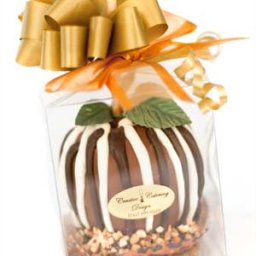 Chocolate Covered Apples