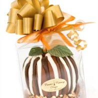 Chocolate Covered Apples