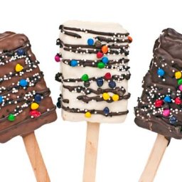 Chocolate Covered Rice Crispy Crunch bars