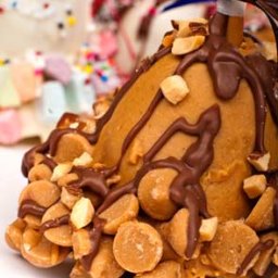 Chocolate or Peanut butter covered cake poppers