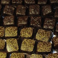 HOGAN'S TRUFFLES 028