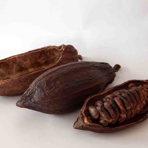 3 types cocoa pods in a row