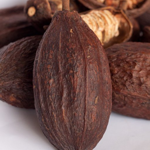 Whole Dried Cocoa Pods