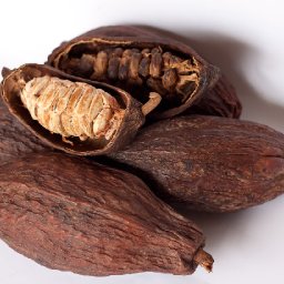 Open and Closed Cocoa Pods with Beans
