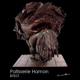 Danseuse chocolat patisserie hamon brest 5