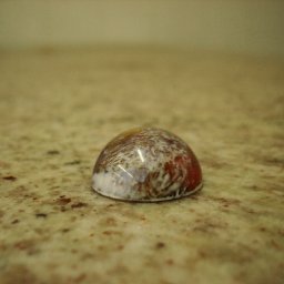 DSC04114