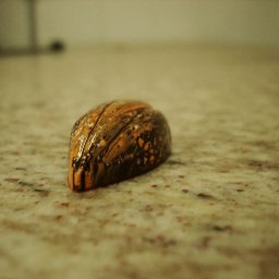 DSC04116