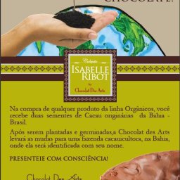 Plant a Cocoa Tree!