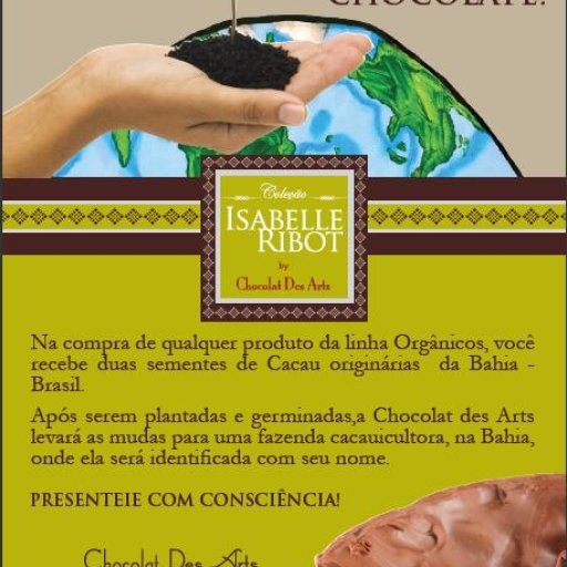 Plant a Cocoa Tree!