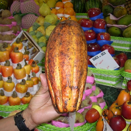 cocoa pod