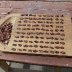 Cut test of gourmet cacao beans