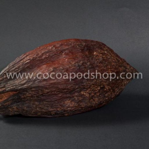 Whole Cocoa Pod