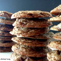 AliceChocoChip02