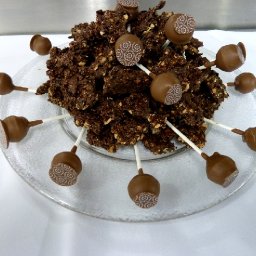 Nuts based chocolate workshop in Sheffield