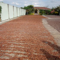 QuevedoJune 20, 2011-11