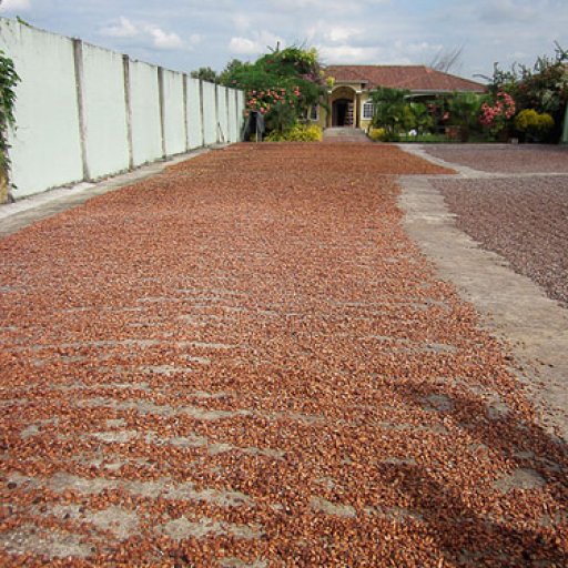 QuevedoJune 20, 2011-11