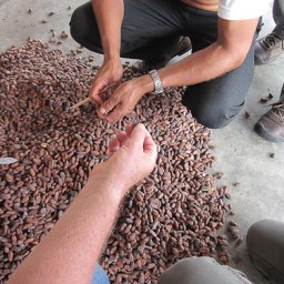 QuevedoJune 20, 2011-10