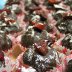 Betty Anne Plum Truffle