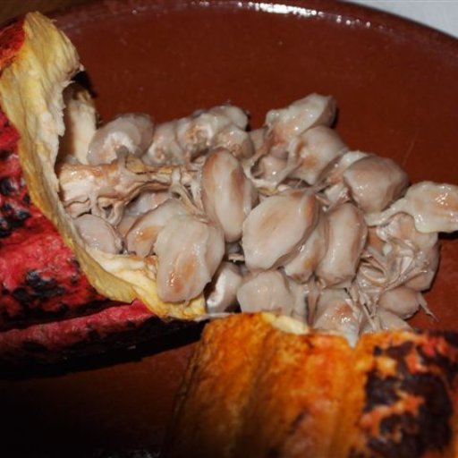 Grenada chocolate tasting 28 July 2011