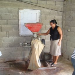 Los Naranjos