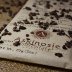 Askiniosie White Chocolate Nibble Bar