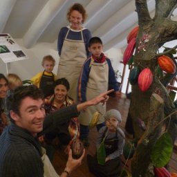 ChocoMuseo Cacao Tours