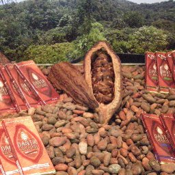 Presentation of Danta Guatemala