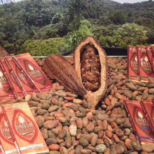 Presentation of Danta Guatemala