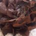Chocolate Bloom