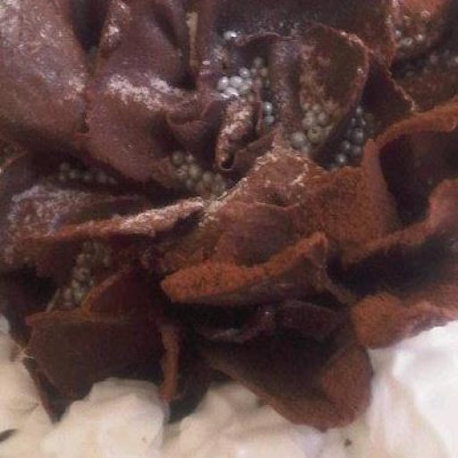 Chocolate Bloom