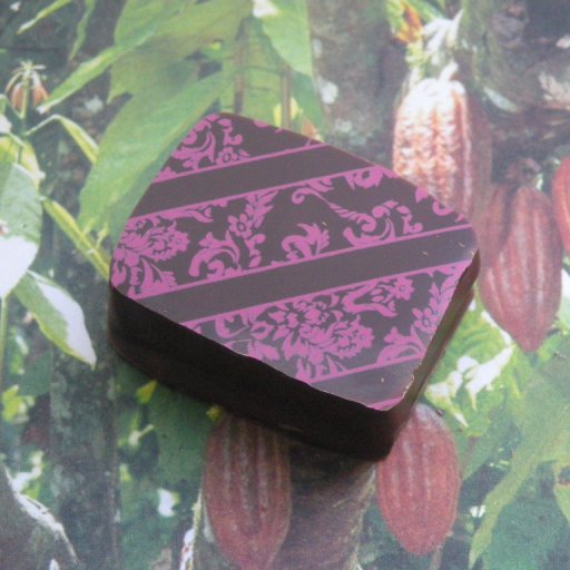 First bonbon made with Daintree couverture 70% Australian