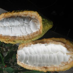 DSCF0486