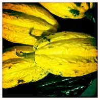 Saban Cacao
