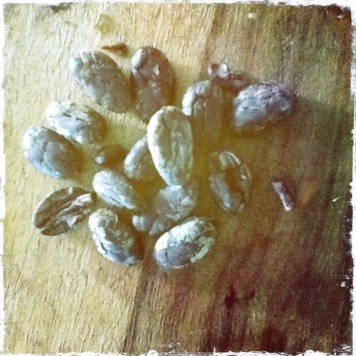 Roasted Beans