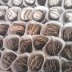 Grand Marnier & Brandy Truffles